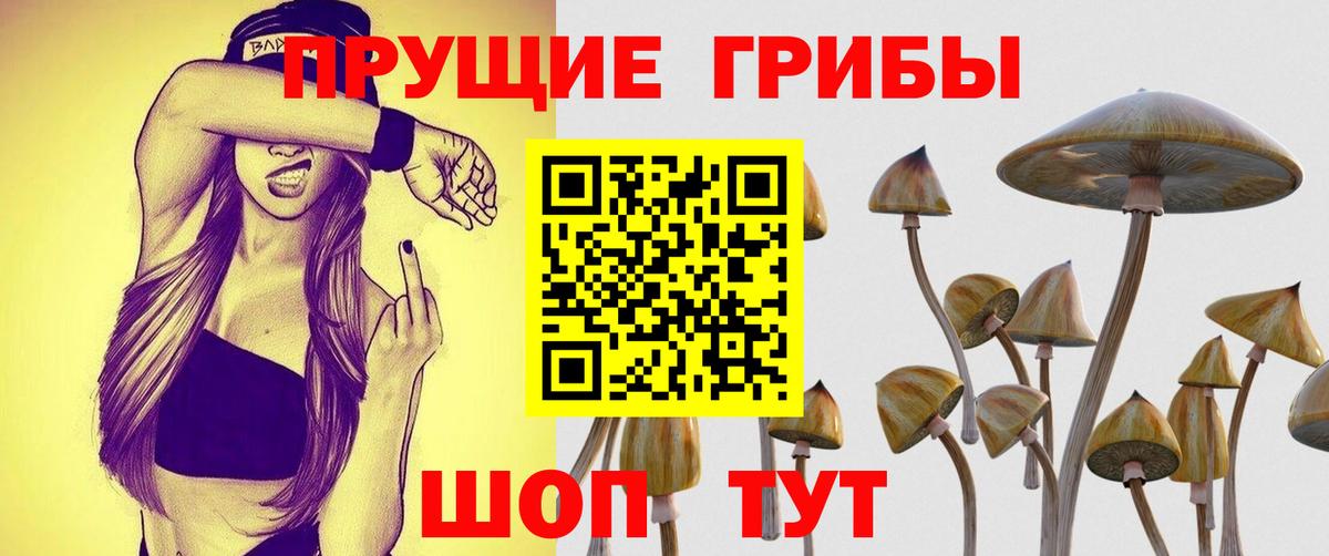 Псилоцибиновые грибы Psilocybine cubensis Донецк